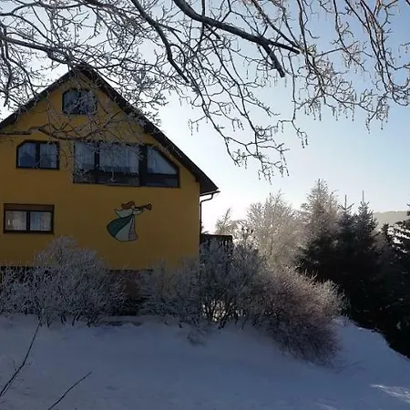Pensionat Gerlach 3*